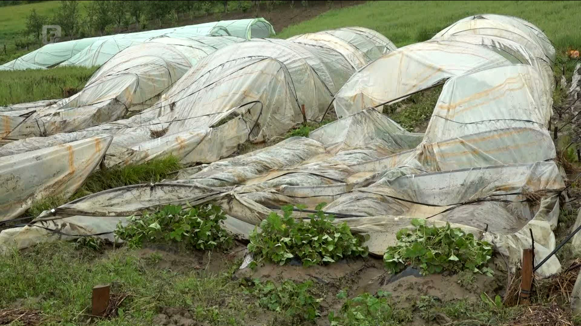 Koraj: Vodena bujica nosila sve pred sobom, usjevi uništeni